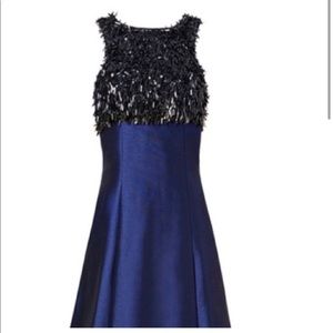 Monique Lhuillier Racing Sequins Gown